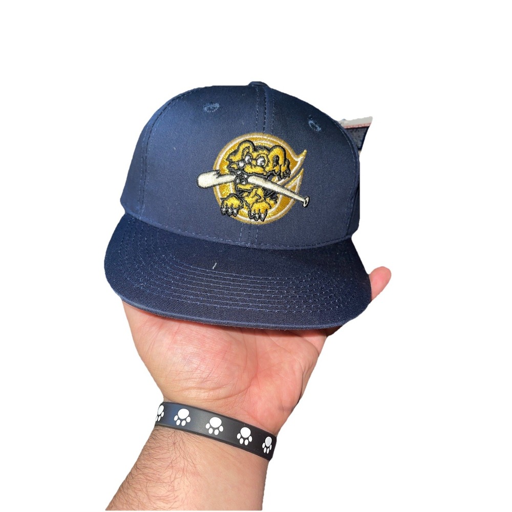Charleston RiverDogs OC Sports Adjustable Hat Cap Men MiLB Baseball Blue